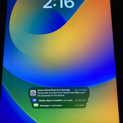 Apple iPad 9th Gen 64GB Wi-Fi