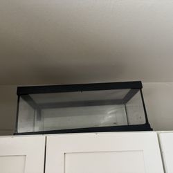 Medium sized tank for small reptiles