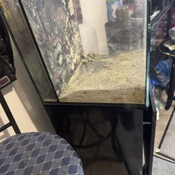 Fish Tank With Stand  150