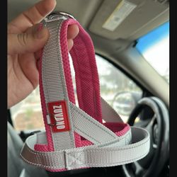 Dog Leash W/ Harness M