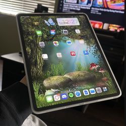 IPad 12.9" - 256gb - 5th gen
