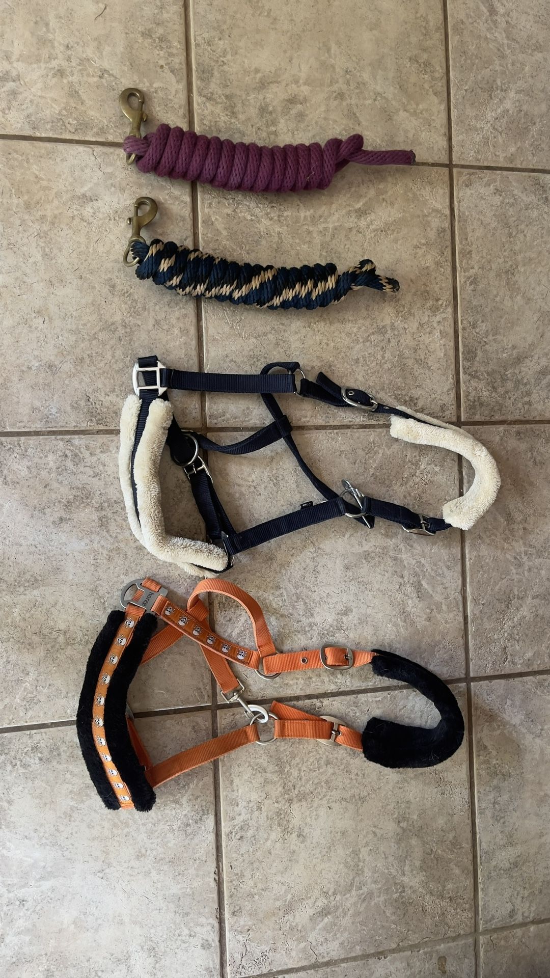 Halters And Lead Ropes