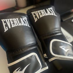 Everlast Gloves 