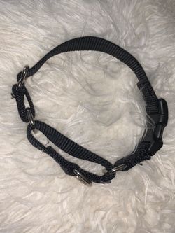 Dog collar