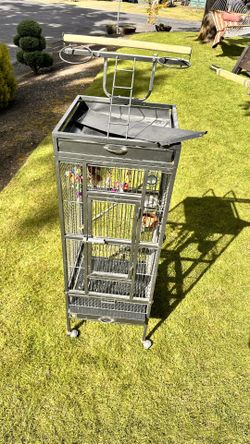 Bird Cage