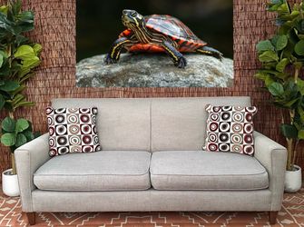 Free Delivery Gray Couch