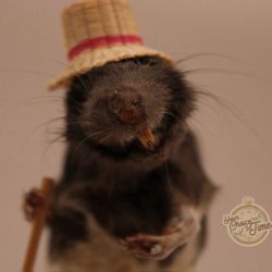 Taxidermy hillbilly farmer 