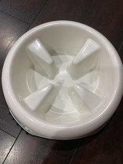 Dog Bowl