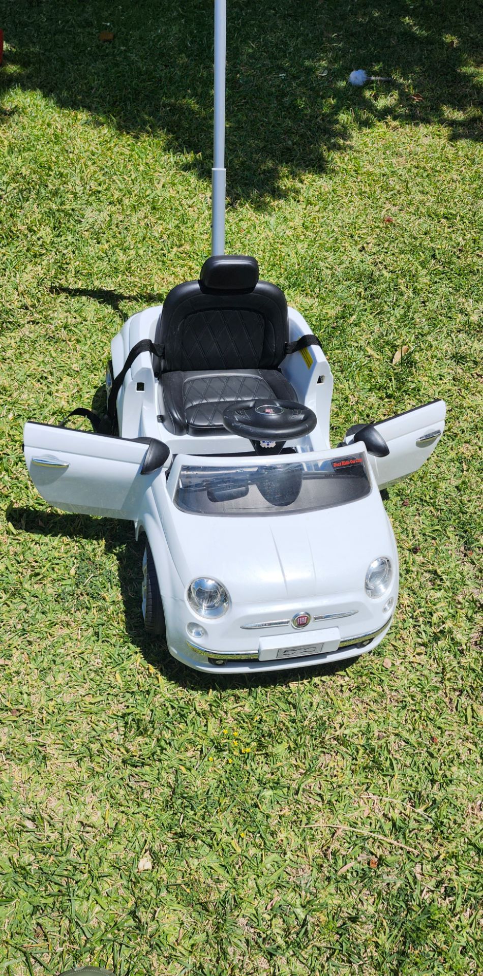White Pushing Car