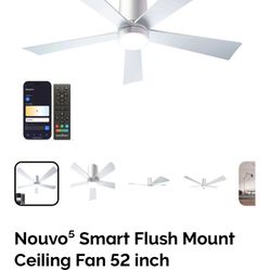 Ceiling Fan