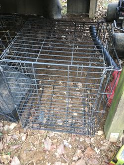 Cages
