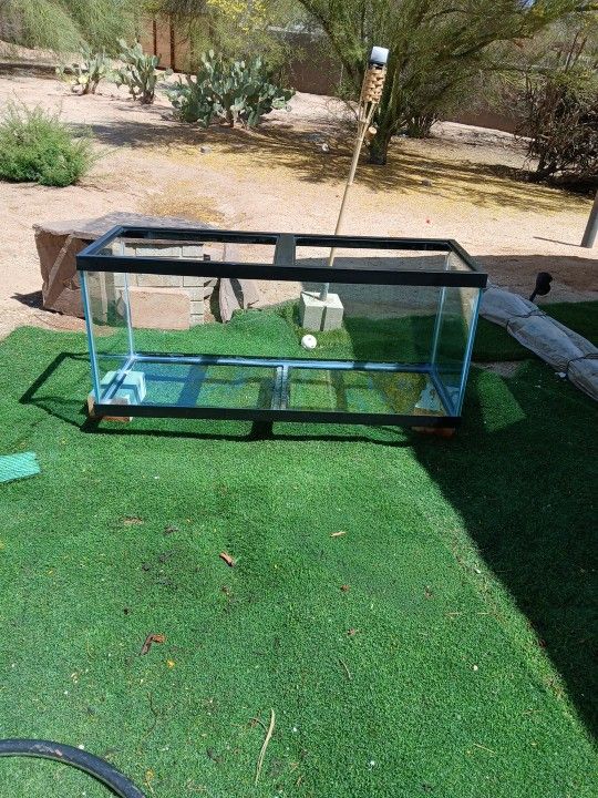 Glass Tank Great Condition