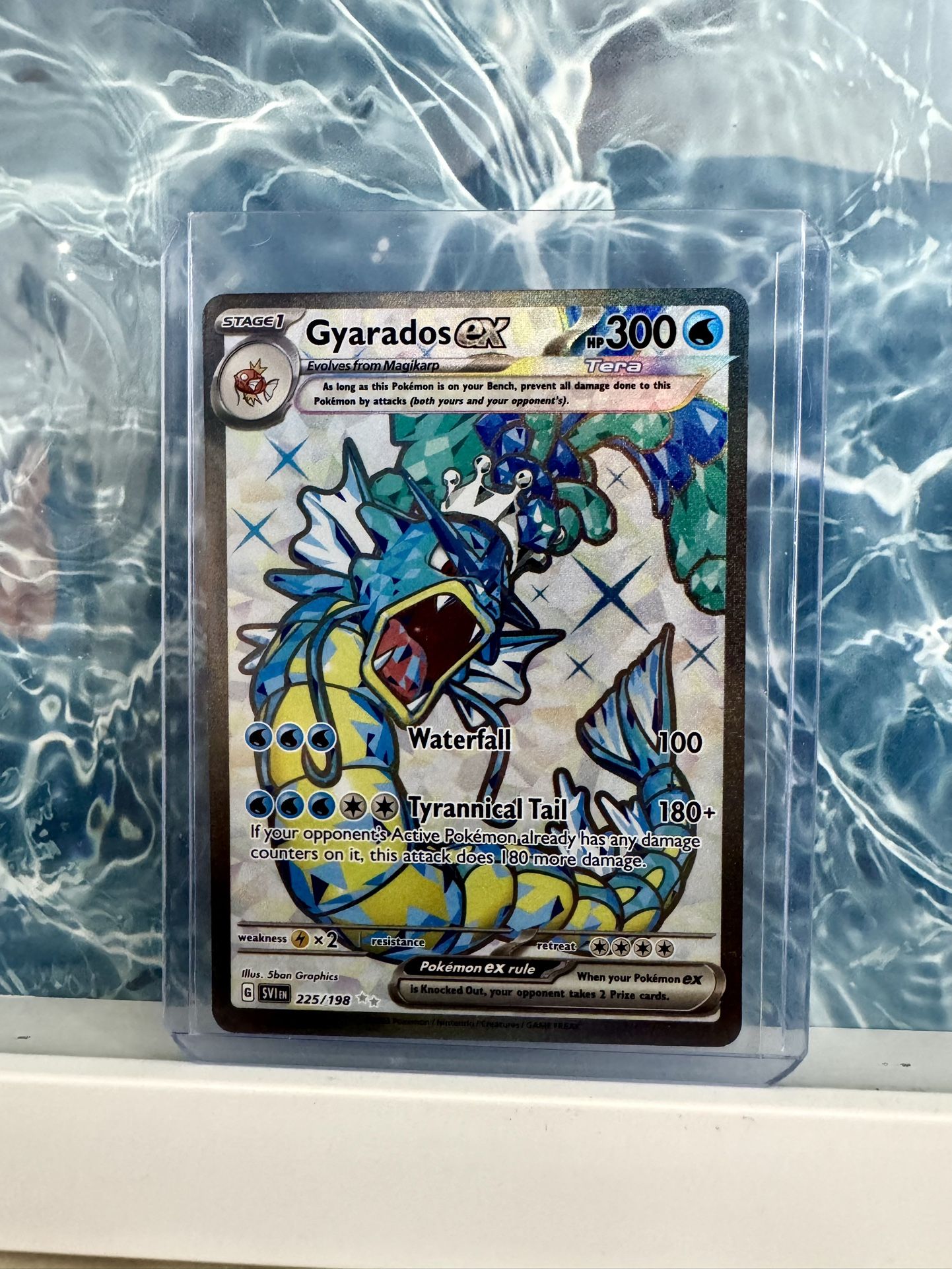 Gyarados Pokemon Cards