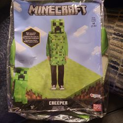Costume Minecraft 