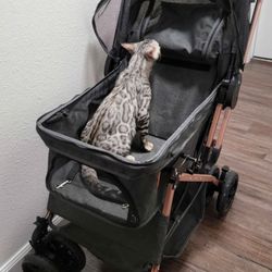 Pet Stroller 