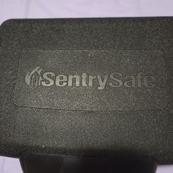 Sentry Safe Water And Fire Protection With Key. 