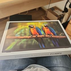 Portable Monitor