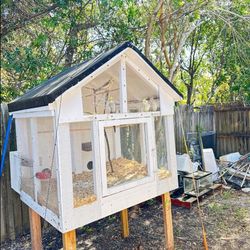 Casa De Pajaritos Incluyendo 4 Cacatillos Y 4 Pichones 