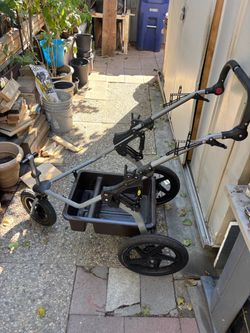 Custom three wheel push buggy