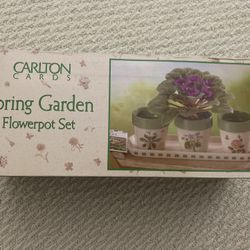 New Small Friendship Plant Pot Set W Tray/$10 Firm/ Lakeside