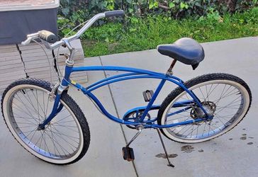 Schwinn cruiser