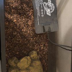 Reptile Tank