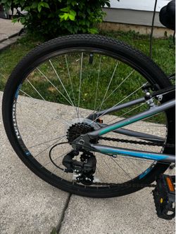 22” Womens Nishiki