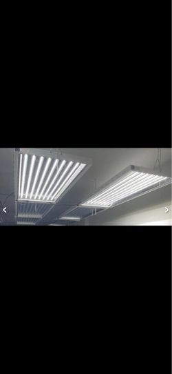 Grow/Veg Lights LED - Argo LED
