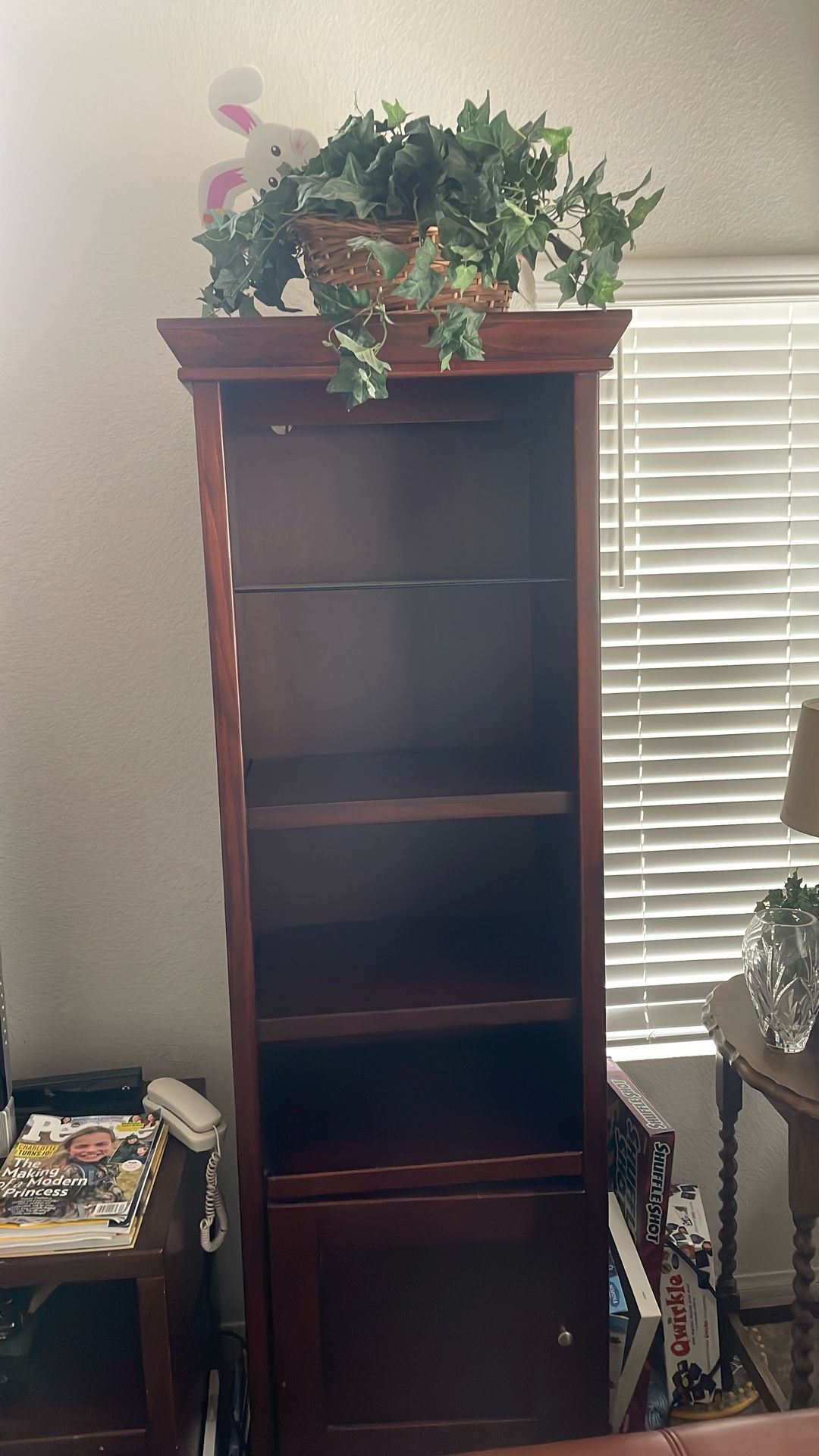 Narrow Bookshelf/Display Case