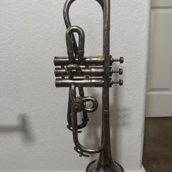 Conical Trumpet 