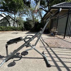 Sunny Health & Fitness Squat Assist Row-N-Ride