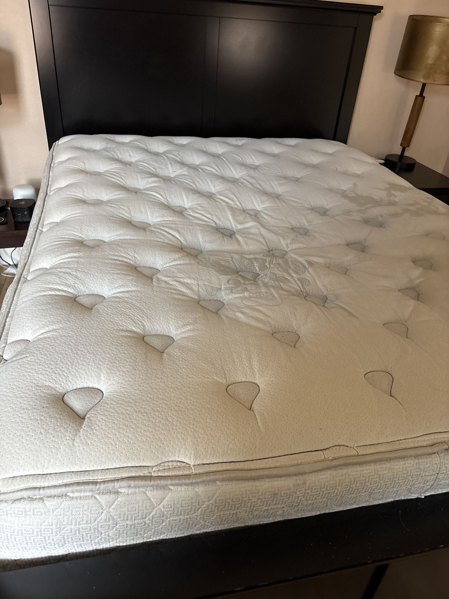Seally Queen Mattress