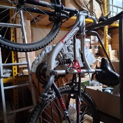 mongoose mountain  nibike 