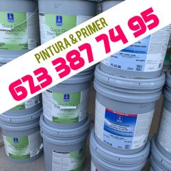 Paints Primer Supplies 