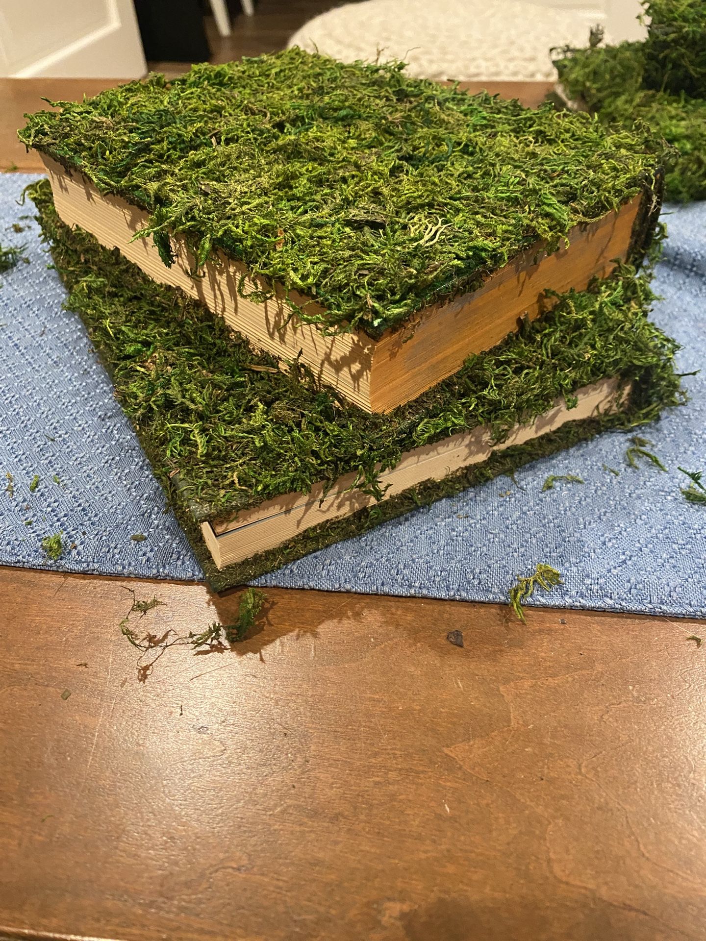 Miss Covered Books For Decorating