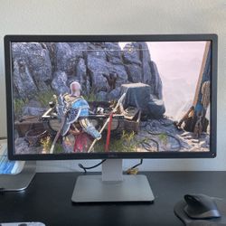 Dell 27in Monitor
