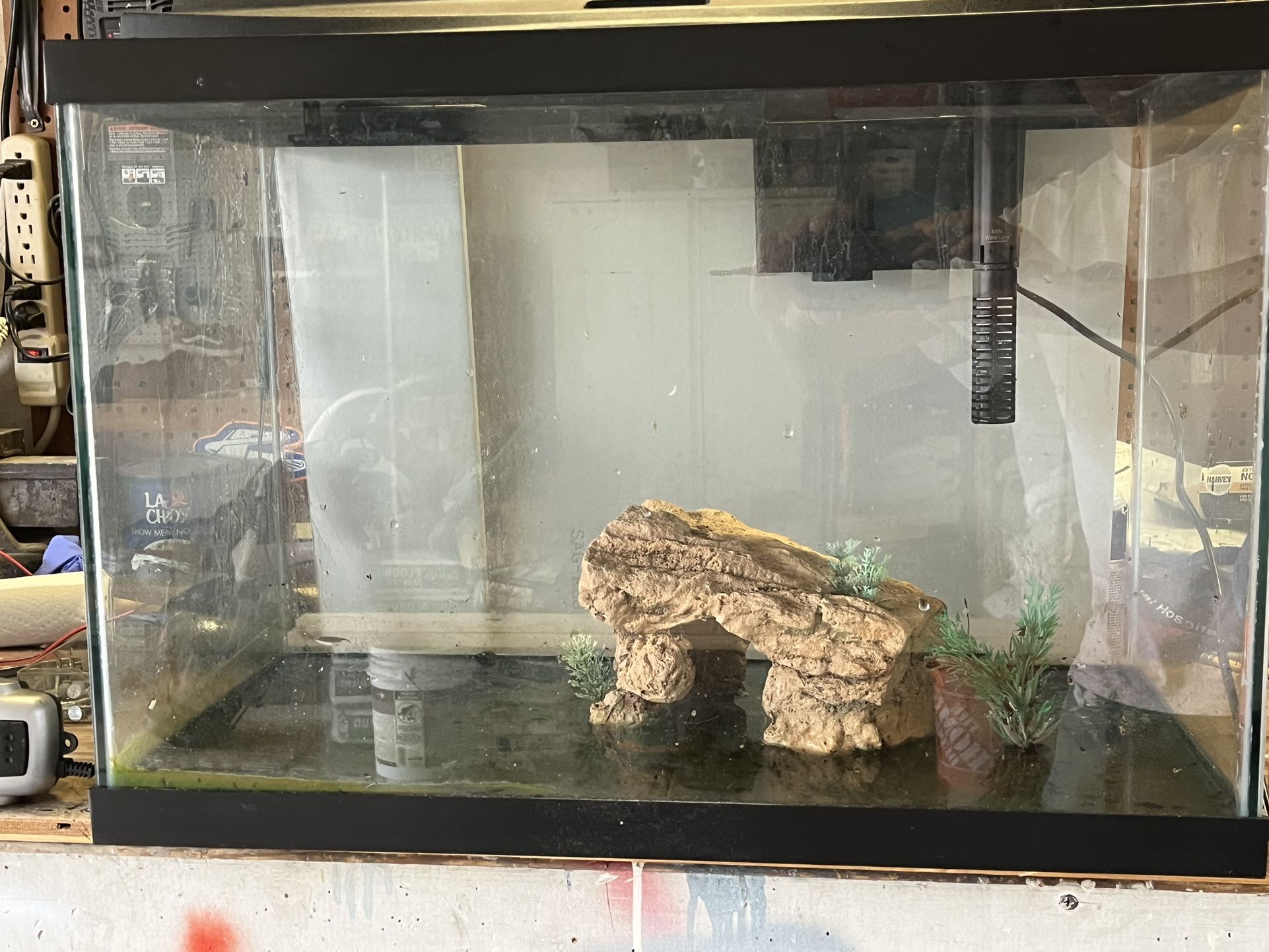20 Gallon Aquarium