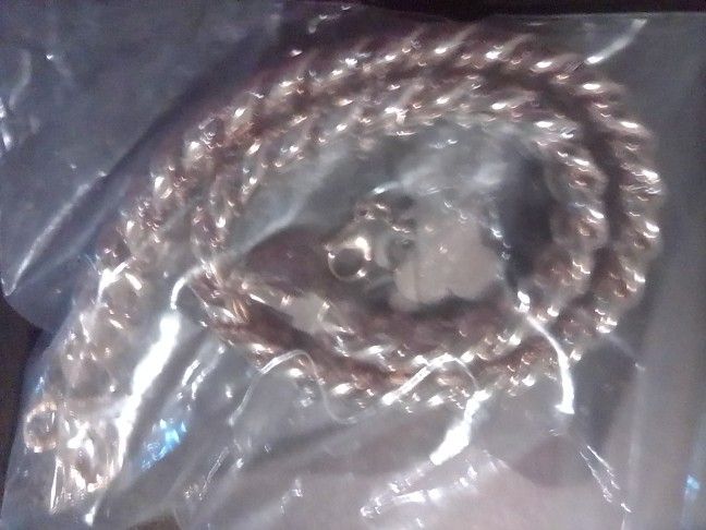 Dog Collar