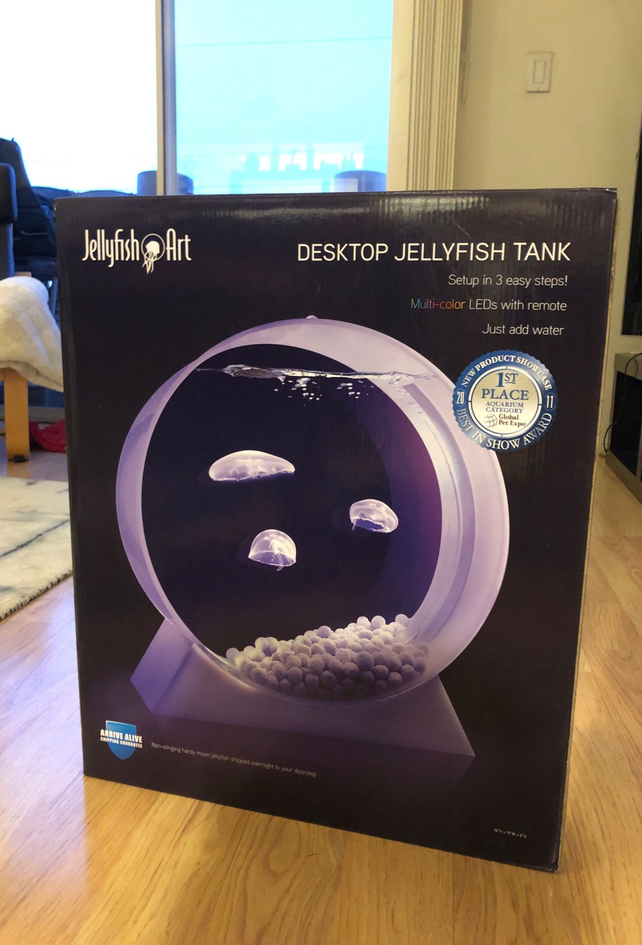 Jellyfish tank