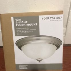 Brand New Light Fixture 