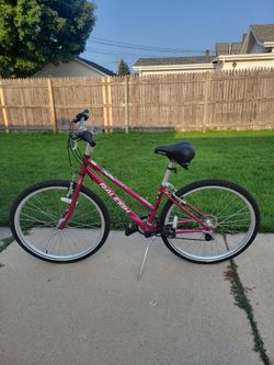 RALEIGH EV1 MOUNTAIN BIKE