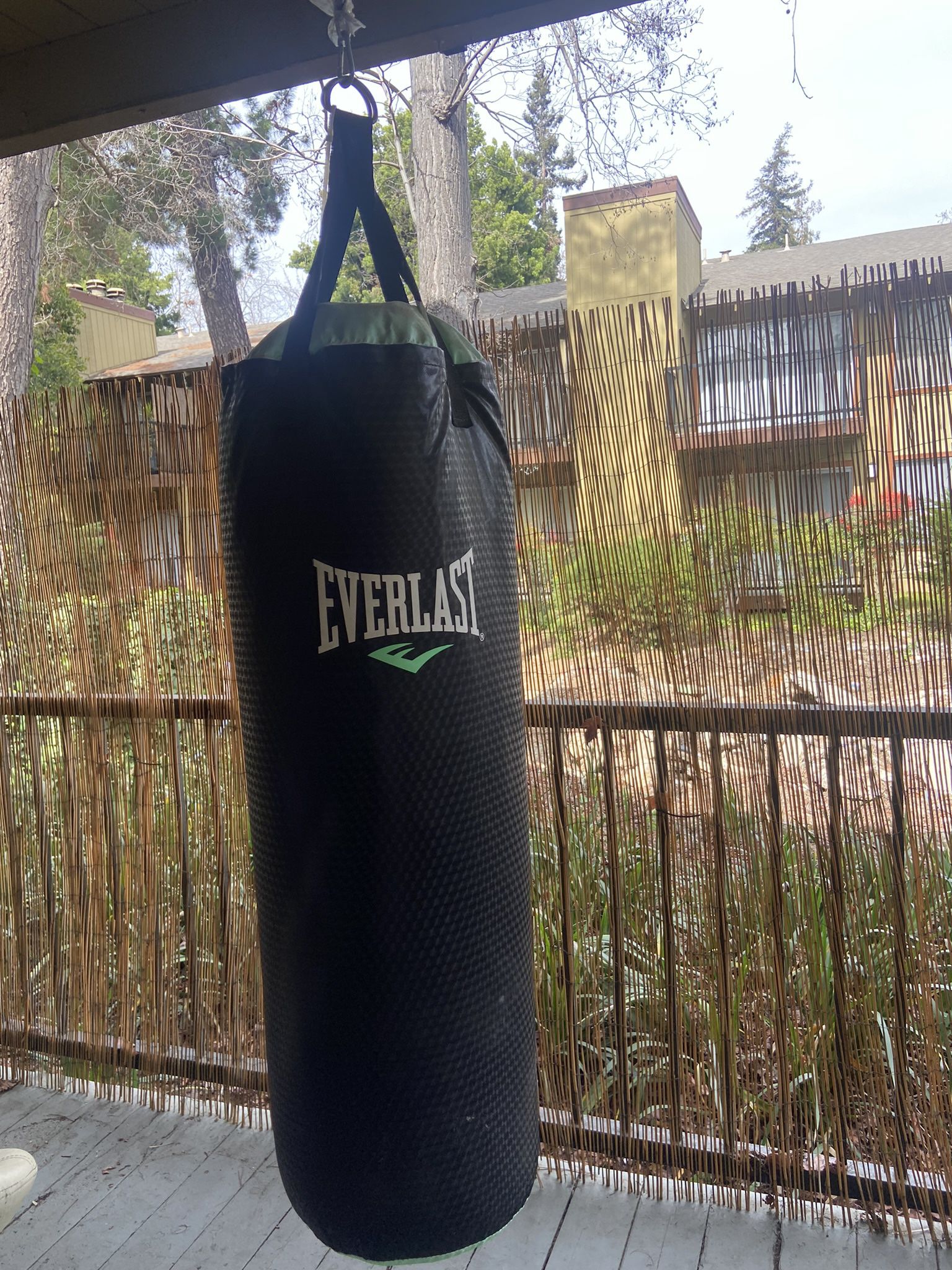 Punching Bag- Everlast 