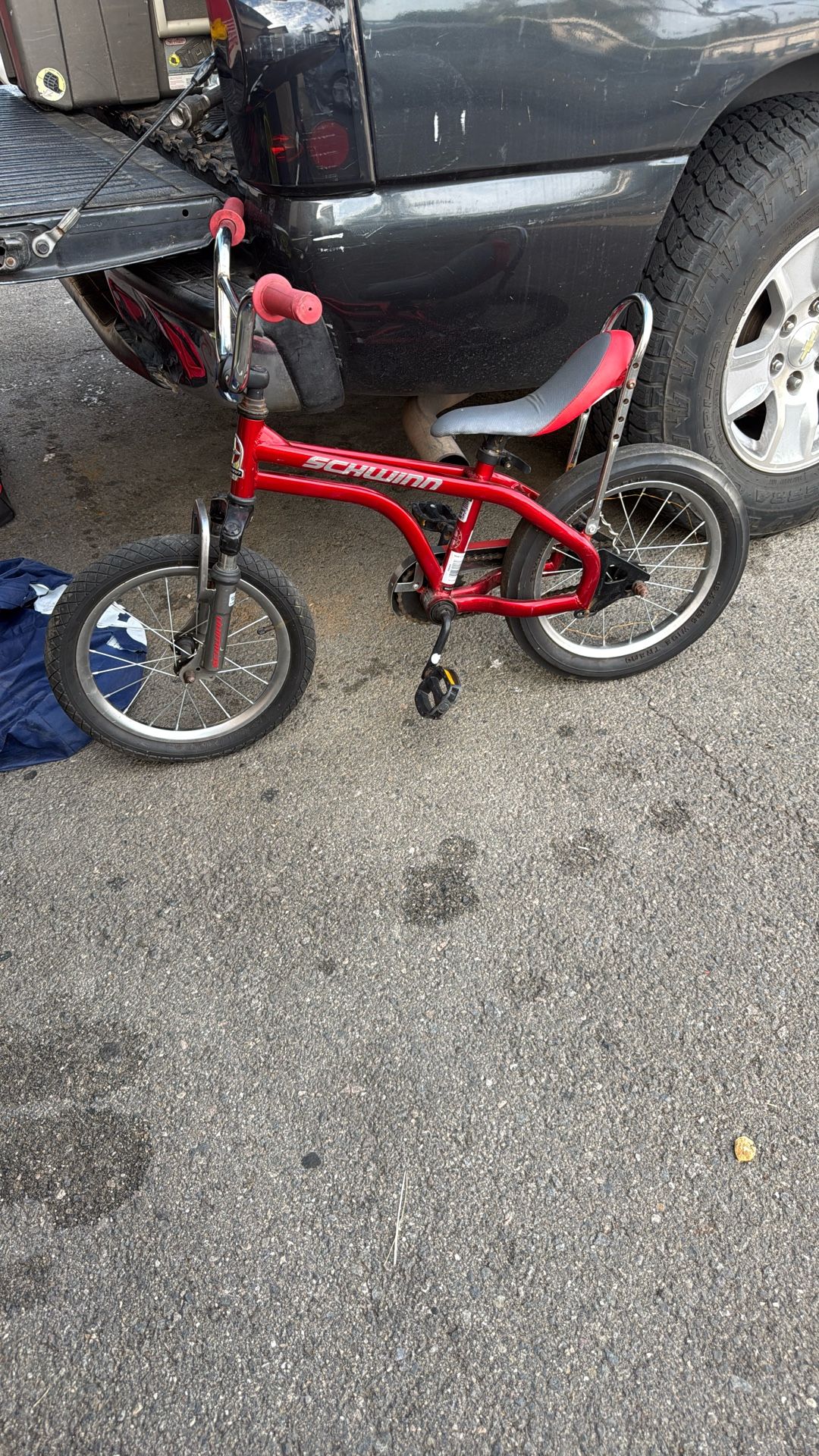 Bike Schwinn