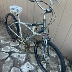 Sole  Ride 100 Trek bicycle