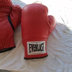 Everlast Boxing Gloves