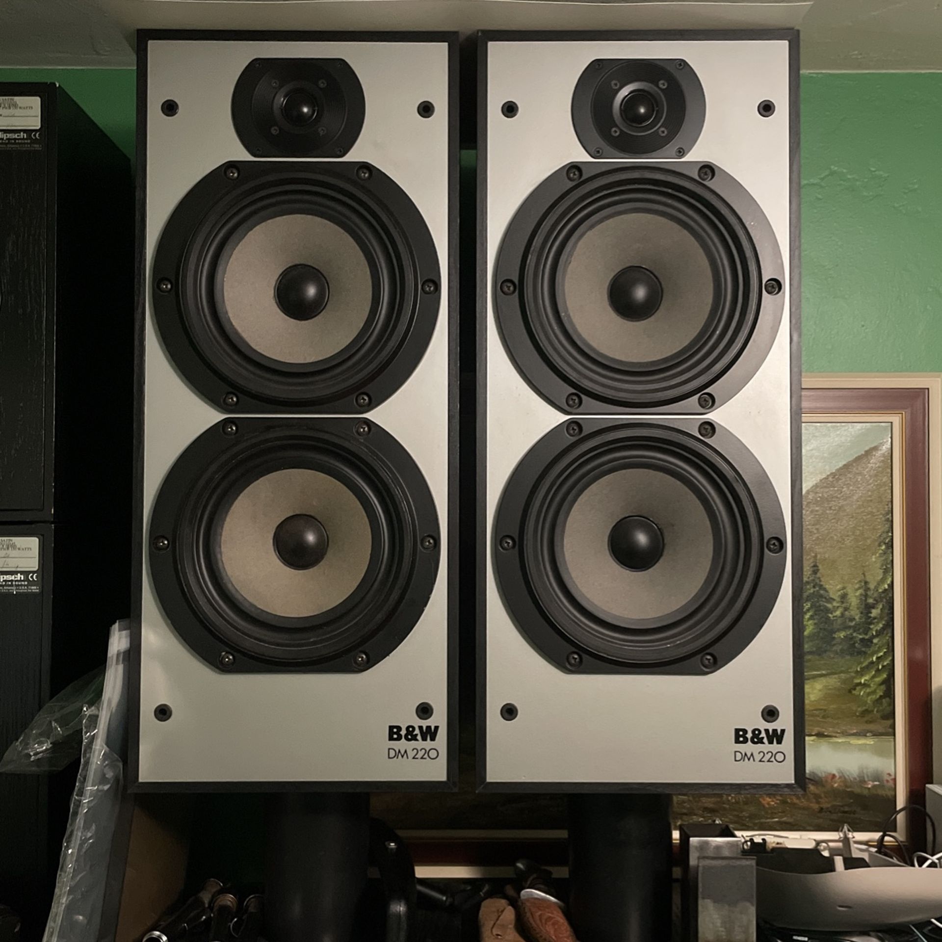 Bowers and Wilkins BW DM220