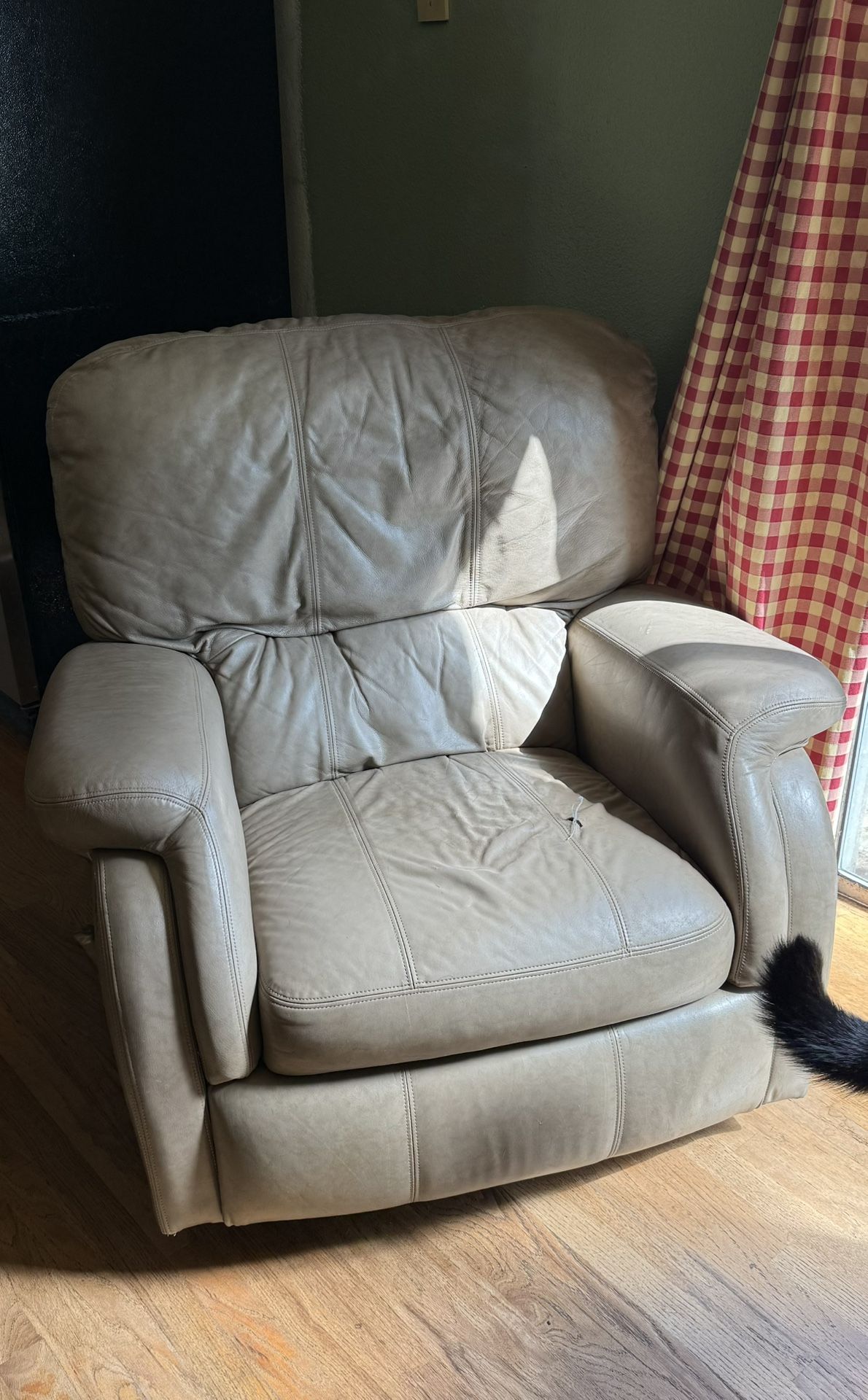 Super Cozy Recliner