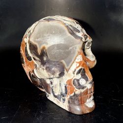 Money Agate Crystal Skull | Abundance Stone