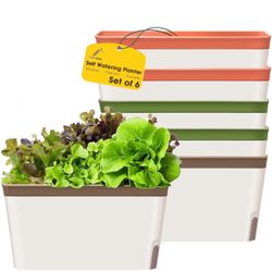 GardenBasix Self Watering Planter Pots Window Box for Indoor Plants Home Garden Modern Decorative Flower Pot for All House Herbs Succulents Set of 6 (