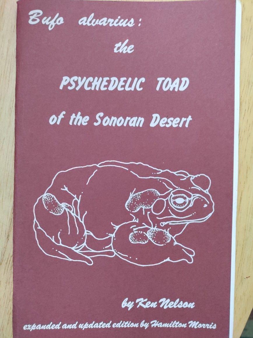Bufo Alvarius The Psychedelic Toad Of The Sonoran Desert